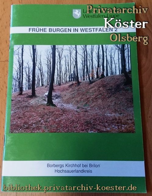 Frühe Burgen in Westfalen 2