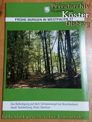 Frühe Burgen in Westfalen 17.jpg